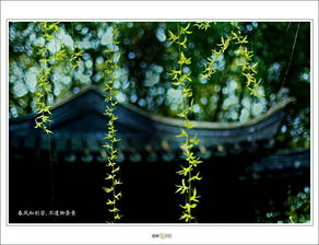 關(guān)于離別的十字詩句