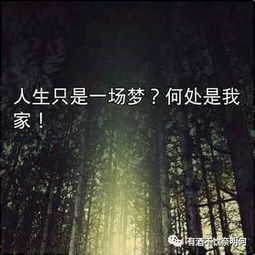 關于人生輪回的詩句
