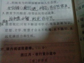 古詩詩句運(yùn)用填空2