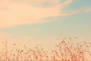 關(guān)于不放棄詩句