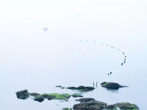 表達人間真情的古詩詩句