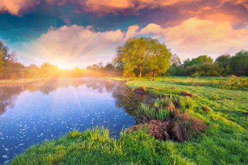 關(guān)于描寫(xiě)美麗景色的詩(shī)句有哪些,描寫(xiě)雪后美麗景色的詩(shī)句,描寫(xiě)廬山美麗景色的詩(shī)句