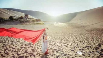 關(guān)于西域大漠塞外的詩(shī)句