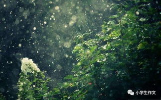 形容雨夜的古詩(shī)句