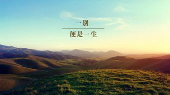 韋應(yīng)物關(guān)于船的詩句