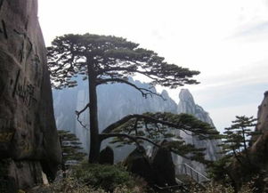 關(guān)于對(duì)山的贊美的詩(shī)句是什么