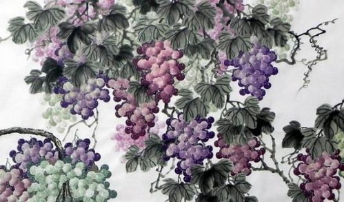 關于葡萄的古詩詞詩句