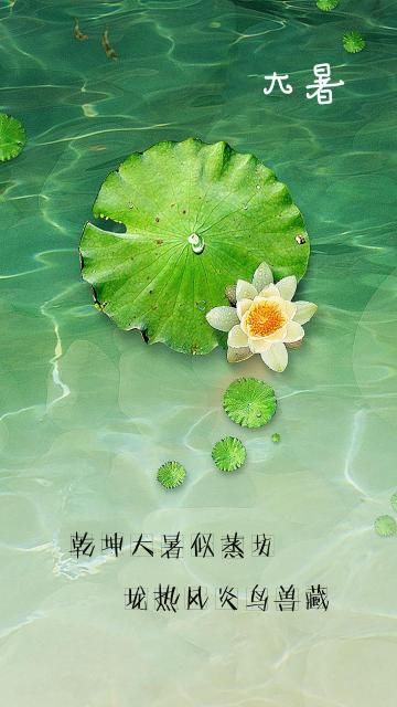 有關(guān)于大暑節(jié)氣的詩(shī)句