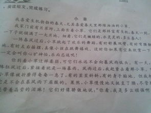 以古詩句開頭贊美小草的作文