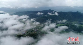 關(guān)于美人在橋上的詩句