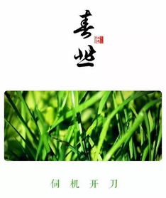 網(wǎng)上關于吃的詩句