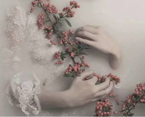 關(guān)于物我合一的詩(shī)句