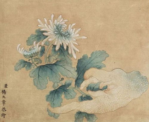 荷花菊花的詩句古詩