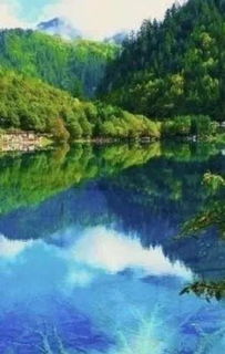 關于浙江美景的詩句