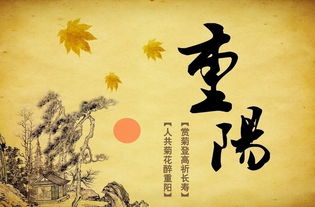 重陽節(jié)重陽節(jié)詩句古詩