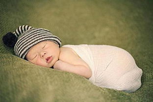 關于睡好覺的詩句