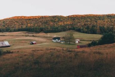 描寫草原夏天景色有關(guān)的詩(shī)句古詩(shī)詞