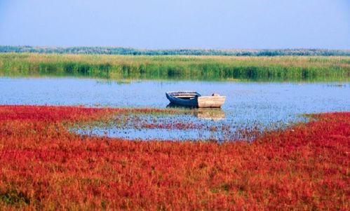 描寫深秋的詩句古詩大全,描寫花的詩句古詩大全,描寫山的詩句古詩大全