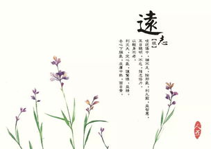 關(guān)于藥的詩(shī)句