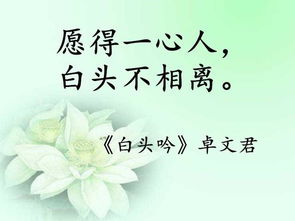 古代文人關于愛情的詩句