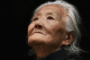 關(guān)于柳樹(shù)的夏天古詩(shī)句