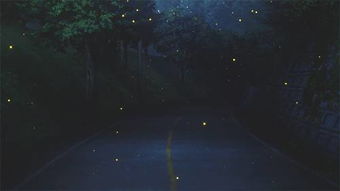 關(guān)于朋友的的優(yōu)美詩句