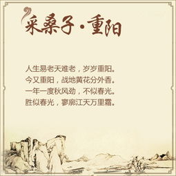 找到關(guān)于的詩(shī)句
