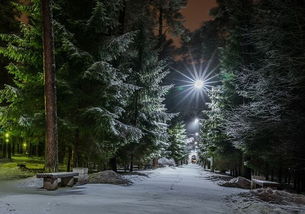 詩句,春天,有哪些,于雪和