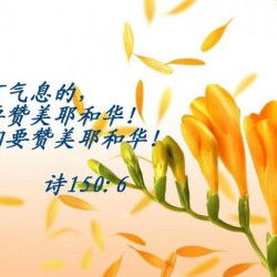 關(guān)于贊頌草的詩(shī)句