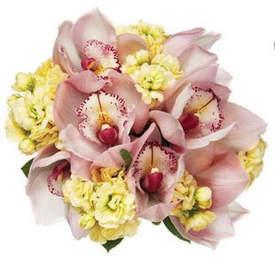 關(guān)于紫蘭花詩(shī)句