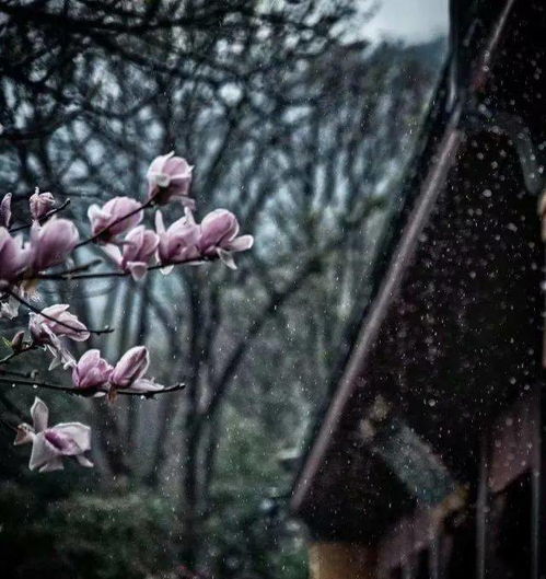 關(guān)于墨色的詩句