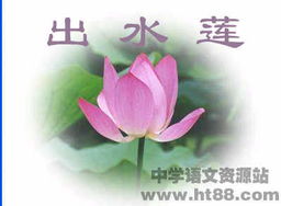 關(guān)于蓮的有名詩(shī)句