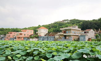 關(guān)于孝悌的古詩句