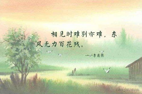 關(guān)于靜的詩句愛情