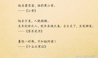 詩(shī)句,滄桑,心箏一觸