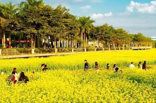 和天氣晴朗心情好的詩(shī)句古詩(shī)