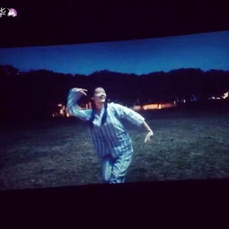 芳華,詩句,電影