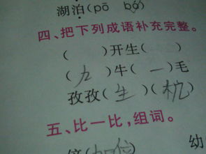 古詩里含有梅花的詩句有哪些