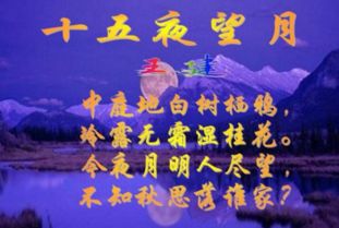 關于思念家鄉(xiāng)的詩句賀知章