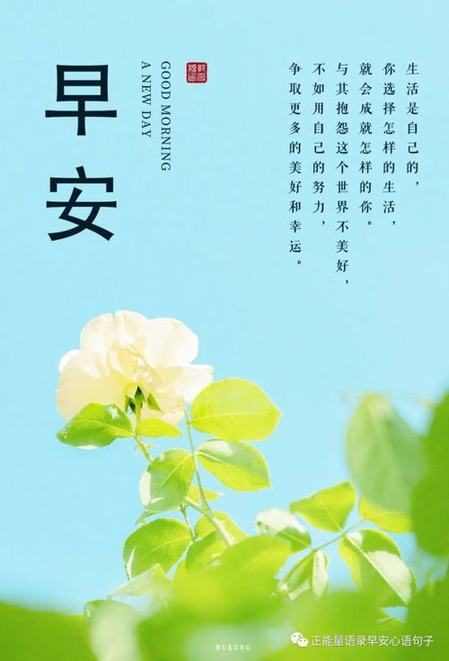 關于積極向上的古詩句,積極向上的古詩句子,積極向上的古詩句書法作品