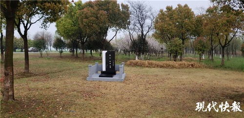 關(guān)于新墳舊墳的詩句