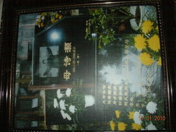 詩句,學(xué)校,體育