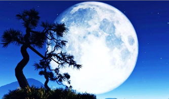 關(guān)于月亮的思鄉(xiāng)詩句有哪些