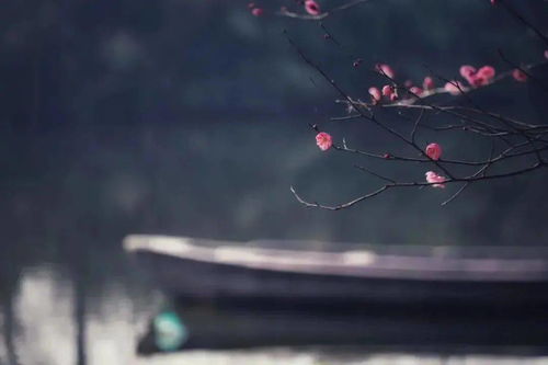 詩(shī)句,唯美,凌晨