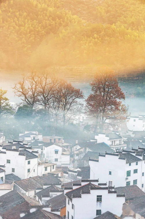 詩句,秋天,旅行