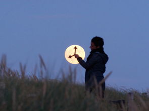 帶新字的古詩句