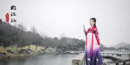 關(guān)于君王無奈的詩句