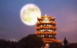 有關(guān)于繁華的詩(shī)句