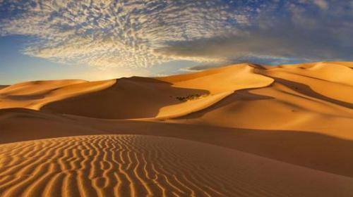 有什么描寫沙漠的古詩句3句