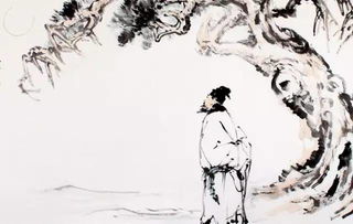 蘇軾的關(guān)于花的詩(shī)句